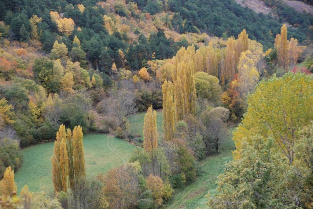 Turisme Rural Lo Palle De Cal Bosch Llagunes ภายนอก รูปภาพ