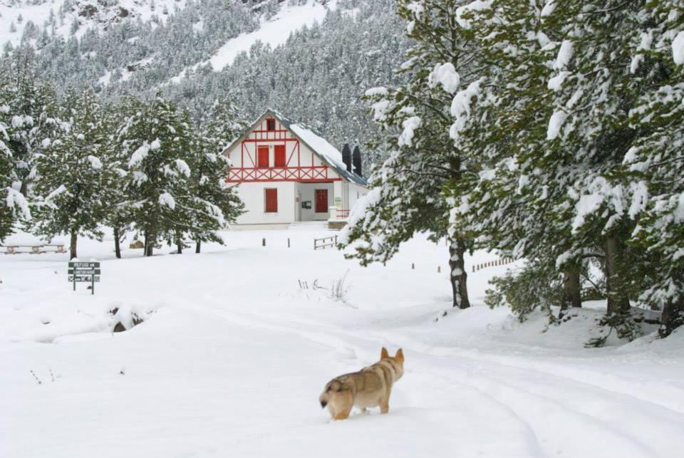 Turisme Rural Lo Palle De Cal Bosch Llagunes ภายนอก รูปภาพ